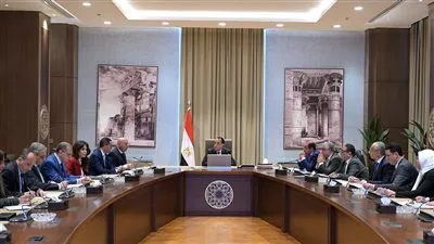 الحكومة: تحصيل 4.84 مليار جنيه من مكافحة التهريب الجمركي خلال 2024