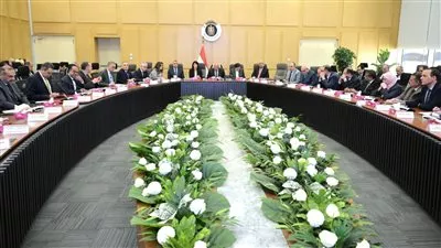 الحكومة تدرس إقامة محطة تغذية كهربائية للمناطق الصناعية بالإسماعيلية 