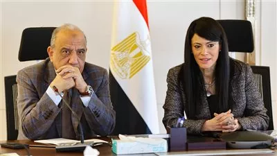 وزيرة التخطيط: 99.9 مليار جنيه لتنفيذ 48 مشروعاً بقطاع الكهرباء خلال 2024-2025