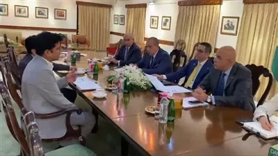 خطة لإنشاء شبكة كهرباء لمشروعات الهيدروجين الأخضر في مصر بـ6 مليارات دولار