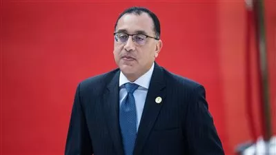 رئيس الوزراء يوافق على تأسيس شركة «ديجيتال ترى»