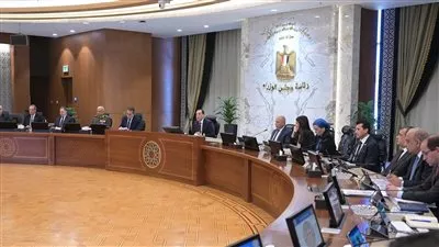 مجلس الوزراء يوافق على طرح رخصتين لإقامة مشروعات لمنتجات الحديد والصلب