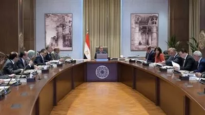 رئيس الوزراء يستعرض موقف تخصيص أراضي مشروعات الطاقة المتجددة
