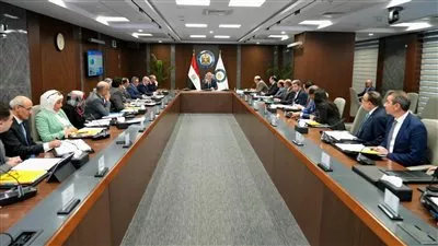 «غازتك» تعلن تحويل 20 ألف سيارة للعمل بالغاز الطبيعي خلال عام