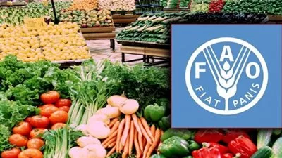 «الفاو» تعلن استقرار أسعار الغذاء العالمية خلال مارس