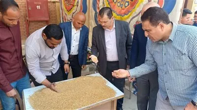 افتتاح موسم توريد القمح المحلي لعام 2025 بمحافظة الفيوم 