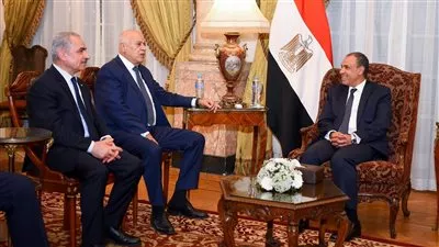 مصر تشدد على موقفها الداعم للسلطة الفلسطينية ورفض العدوان الإسرائيلي على غزة 
