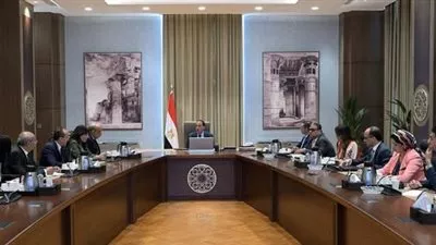 رئيس الوزراء يتابع موقف الطروحات في قطاع الطاقة