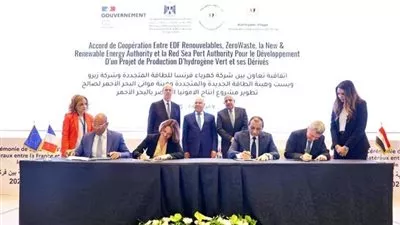 مصر وفرنسا توقعان اتفاقية بناء محطة للهيدروجين الأخضر بتكلفة 7 مليارات يورو