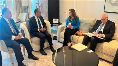 مصر تؤكد لأمريكا رفضها تهجير الفلسطينيين من أرضهم