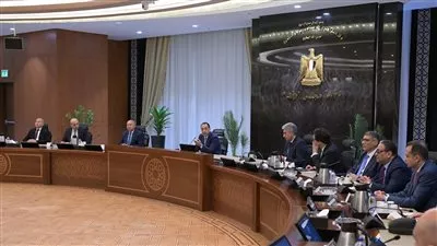 رئيس الوزراء يتابع استعدادات تنظيم احتفالية افتتاح المتحف المصري الكبير