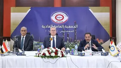 «سيدبك» للبتروكيماويات تحقيق 2.5 مليار جنيه صافي ربح خلال 2024