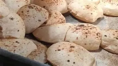 وزير التموين يؤكد عدم المساس بسعر رغيف الخبز المدعم بعد زيادة السولار