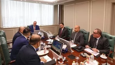 شركة شيماى الصينية تخطط للاستثمار بقطاع التعدين في مصر