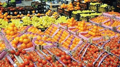 ارتفاع صادرات مصر الزراعية إلى 4.13 مليار دولار خلال 2024