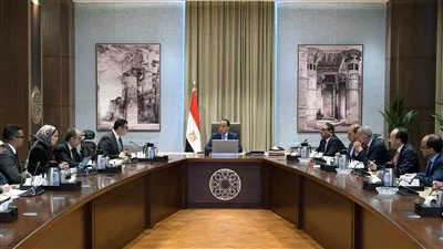 رئيس الوزراء يتابع موقف تنفيذ سد ومحطة كهرباء «جوليوس نيريري» بتنزانيا