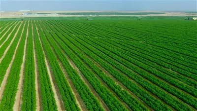  اعتماد تعديل المخطط التفصيلي لمشروع شركة مكة لاستصلاح الأراضي بالشيخ زايد 