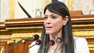 وزيرة التخطيط: 100 مليار جنيه استثمارات قطاع الكهرباء والطاقة المتجددة خلال 2025-2026