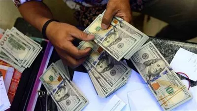 ارتفاع تحويلات المصريين بالخارج إلى 20 مليار دولار خلال 7 أشهر