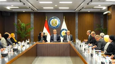 مصر تستثمر 530 مليون دولار لإنتاج وقود الطائرات من زيت الطعام المستعمل