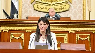 وزيرة التخطيط: 28 مليار جنيه استثمارات مُخصّصة للتنمية المحلية في 2025-2026