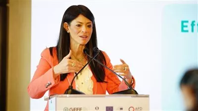 «المشاط»: ضخ 154 مليون دولار في 130 مشروعًا للقطاع الخاص بمصر