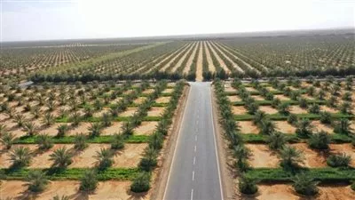 توقعات بارتفاع حجم سوق التأمين الزراعي العالمي لـ60 مليار دولار بحلول 2030