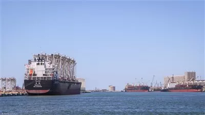 تداول 14 ألف طن و789 شاحنة بضائع بموانئ البحر الأحمر