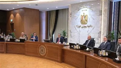 تخصيص قطعتي أرض لإقامة صوامع غلال في المنيا وكفر الشيخ