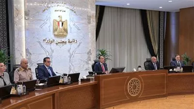 تخصيص 909.2 فدان لإنشاء محطة طاقة شمسية في المنيا