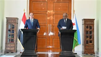 الرئيس السيسي يعلن تأسيس مجلس الأعمال المصري الجيبوتي المشترك