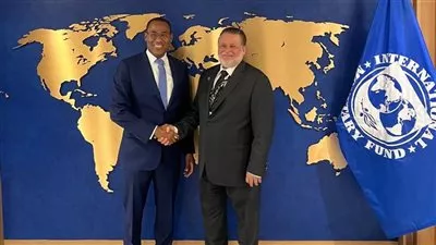 محافظ البنك المركزي المصري يلتقي نائب المدير العام لصندوق النقد الدولي