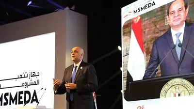 جهاز تنمية المشروعات يضخ 800 مليون جنيه تمويلات في سيناء 