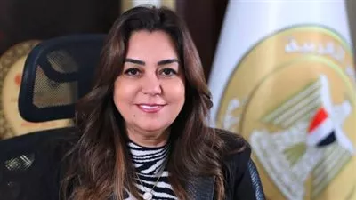 وزيرة التنمية المحلية توجه المحافظين برفع درجة الاستعداد لمواجهة سوء الطقس