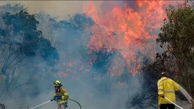 إسرائيل تعلن حالة الطوارئ بسبب حرائق جبال القدس