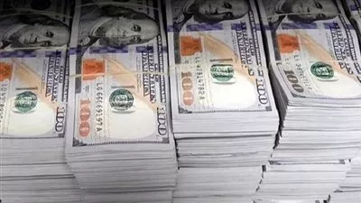 ضبط قضايا إتجار بالنقد الأجنبي بقيمة 15 مليون جنيه خلال 24 ساعة  