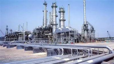 زيادة رأسمال شركة النصر لمنتجات الكاوتشوك «ناروبين» إلى 500 مليون جنيه