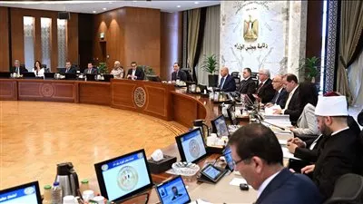 الحكومة: توريد 1.4 مليون طن قمح.. وصرف 3 مليارات جنيه لمزراعي القطن