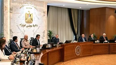 وكالة الفضاء المصرية تؤسس شركة لتصنيع الأقمار الصناعية 