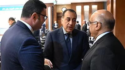 إعادة تخصيص بعض أراضي الدولة في الشرقية لتنفيذ أنشطة تنموية صناعية وخدمية 