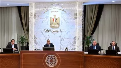 الحكومة توافق على اعتبار إنشاء المخازن الطبية اللوجستية مشروع قومي