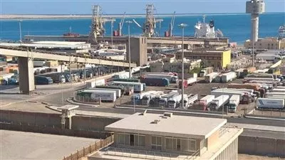 تداول 15 ألف طن و880 شاحنة بضائع بموانئ البحر الأحمر