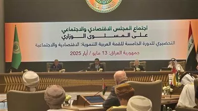 الجامعة العربية تؤكد أهمية التوصل لرؤى جماعية للتعامل مع اضطراب النظام الاقتصادي الدولي