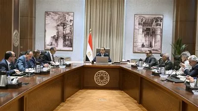 رئيس الوزراء يتابع الإجراءات اللوجستية لحفل افتتاح المتحف المصري الكبير