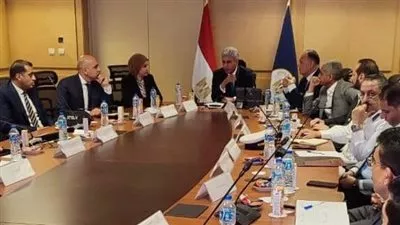 بدء التشغيل التجريبي لمنظومة التأشيرة الاضطرارية منتصف يونيو المقبل