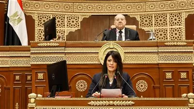 مجلس الشيوخ يوافق على خطة التنمية الاقتصادية والاجتماعية للعام المالي 2025-2026