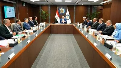 شركة فوسفات مصر تحقق 3.3 مليار جنيه أرباحا خلال 2024