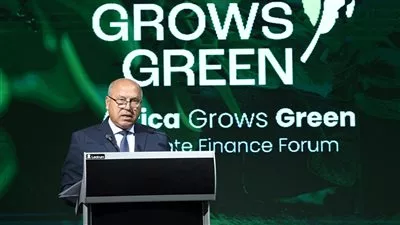 وزير الصناعة: مصر ملتزمة بدعم التحول نحو الاقتصاد الأخضر