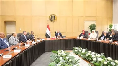 الحكومة تعتزم طرح رخص لإنتاج خام «البليت» لتعميق صناعة الحديد