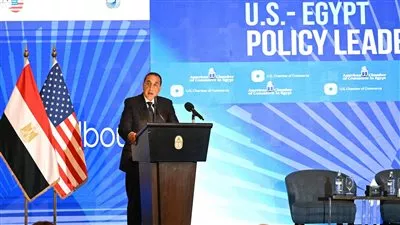 مصر تصدر إعفاءات لصالح واردات السيارات والألبان الأمريكية